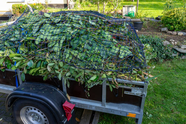 Shed Removal in Kirkland, IL